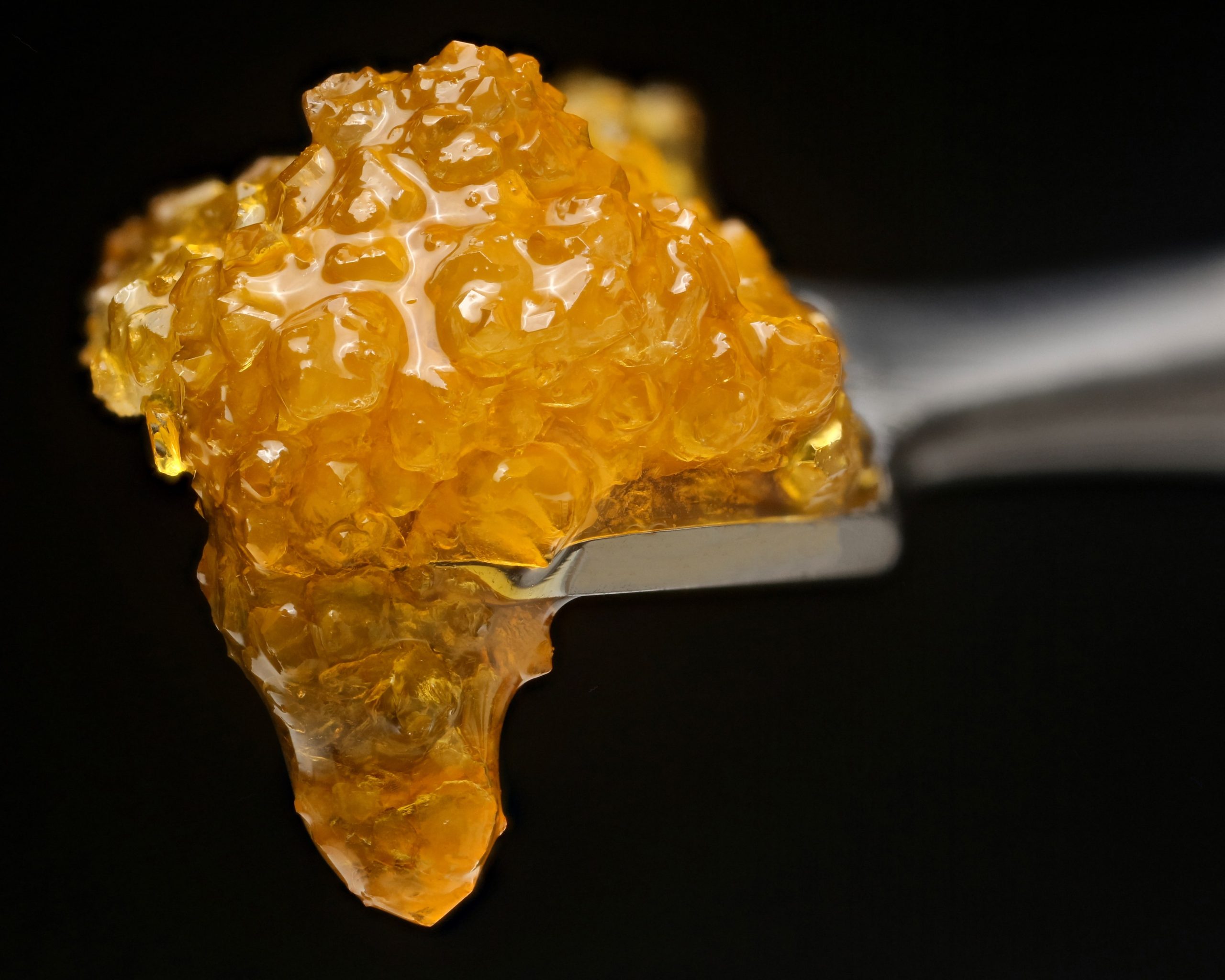 Navigating the World of Cannabis Concentrates (CRC, Resin, Rosin, Live Concentrates, & Bubble Hash)